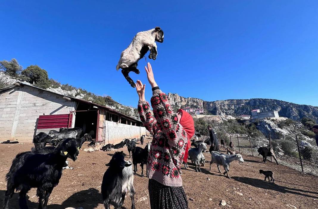 Diplomasını sandığa kaldırdı, dağlara çıktı! 6